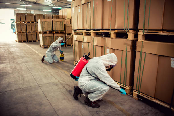 Pest Control Cost in Monroe, LA