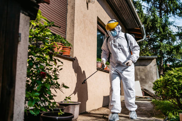 Best Best Pest Control Companies  in Monroe, LA
