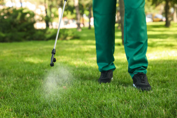 Best Local Pest Control Services  in Monroe, LA