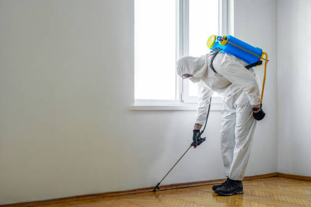 Best Termite Control Services  in Monroe, LA