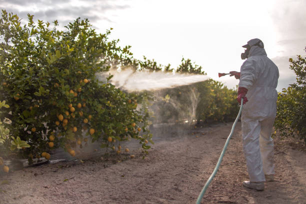 Monroe, LA Pest Control Company
