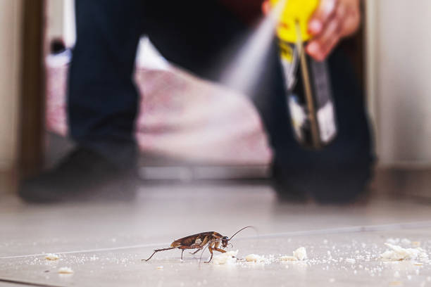 Best Pest Prevention Services  in Monroe, LA