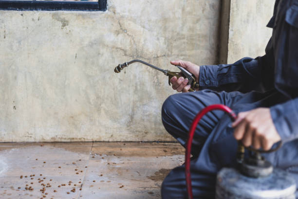 Best Pest Control Cost  in Monroe, LA